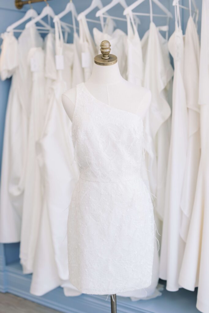 Bleu Bridal Co Same Day Take Home Bridal Dresses